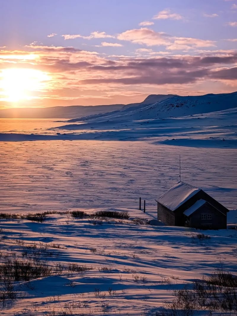 Snow-covered cabin by a fjord at golden hour under a pastel sky